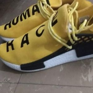 Pharrell Williams Human Race